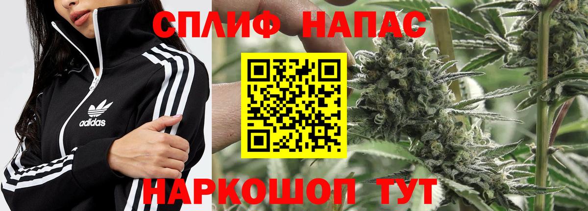 Каннабис гибрид Светлоград